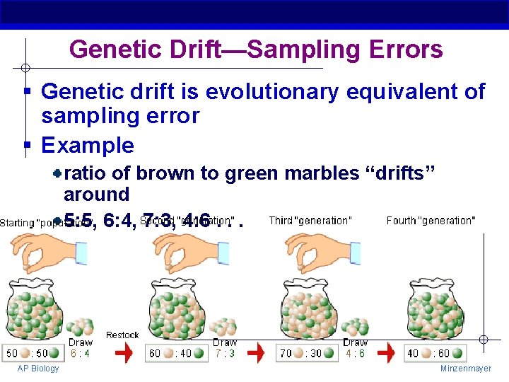 Genetic Drift—Sampling Errors § Genetic drift is evolutionary equivalent of sampling error § Example