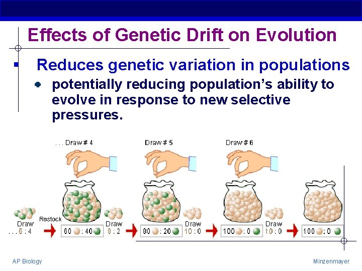 Effects of Genetic Drift on Evolution § Reduces genetic variation in populations potentially reducing