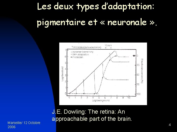 Les deux types d’adaptation: pigmentaire et « neuronale » . Marseille/ 12 Octobre 2006