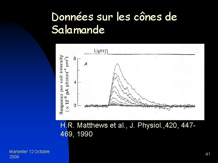 Données sur les cônes de Salamande H. R. Matthews et al. , J. Physiol.