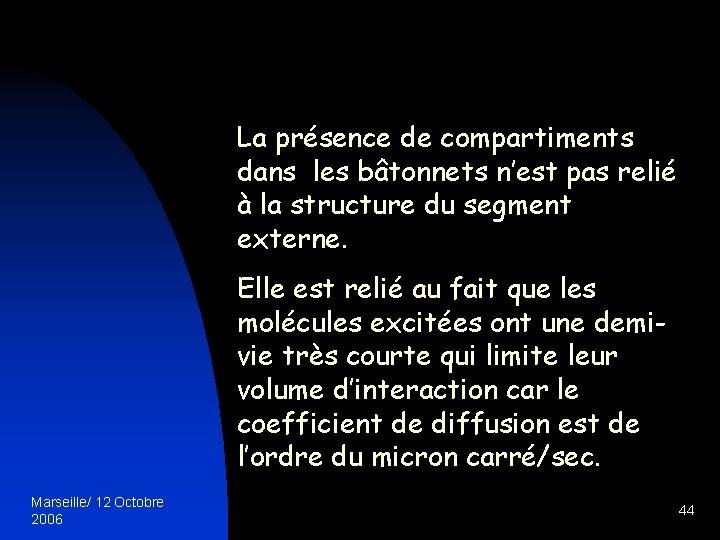 La présence de compartiments dans les bâtonnets n’est pas relié à la structure du