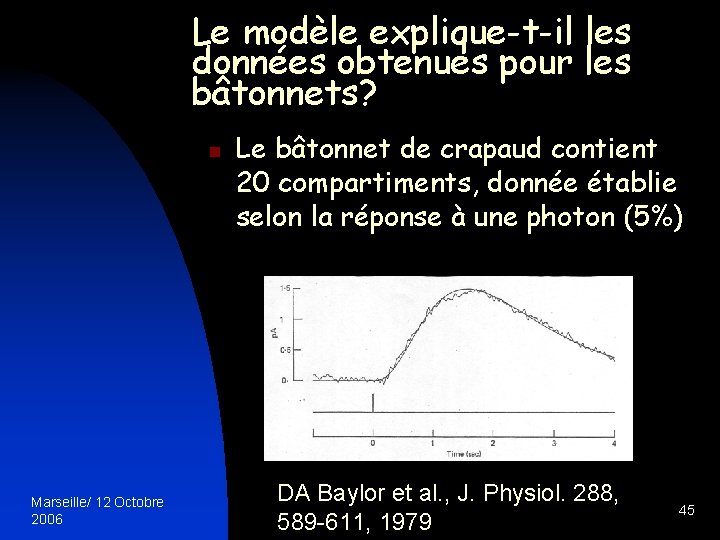 Le modèle explique-t-il les données obtenues pour les bâtonnets? n Marseille/ 12 Octobre 2006