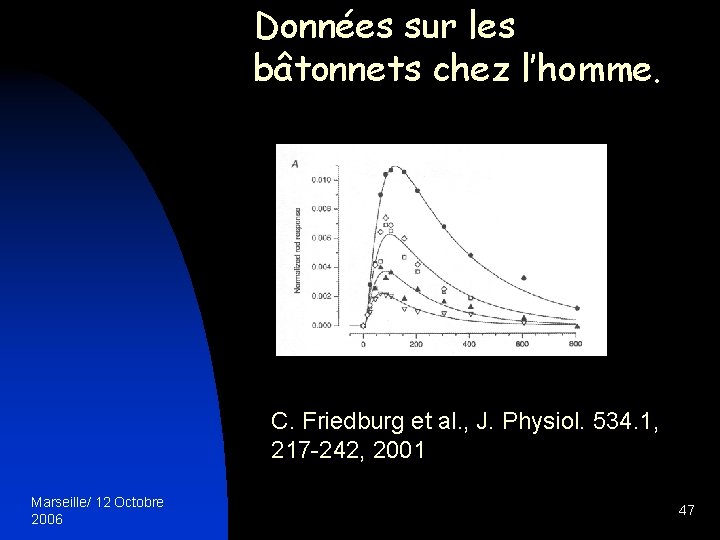 Données sur les bâtonnets chez l’homme. C. Friedburg et al. , J. Physiol. 534.