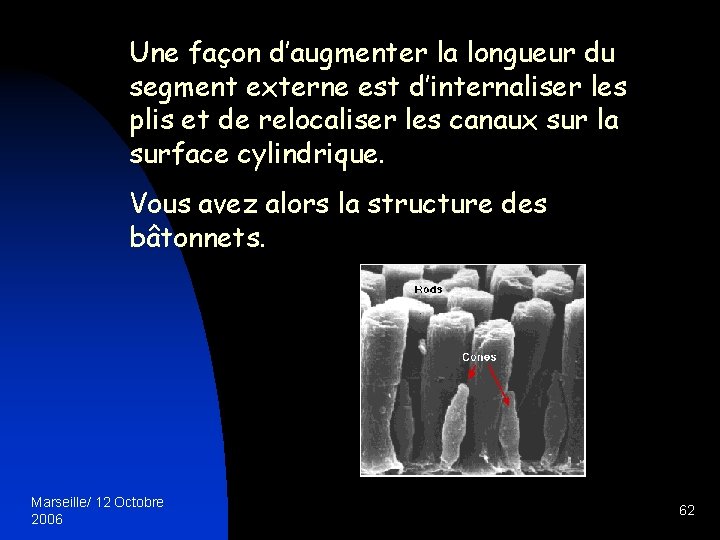 Une façon d’augmenter la longueur du segment externe est d’internaliser les plis et de