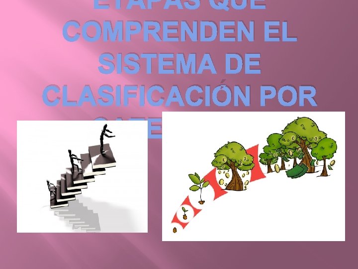 ETAPAS QUE COMPRENDEN EL SISTEMA DE CLASIFICACIÓN POR CATEGORÍAS 