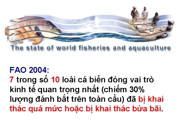 FAO 2004: 7 trong số 10 loài cá biển đóng vai trò kinh tế