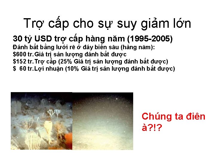 Trợ cấp cho sự suy giảm lớn 30 tỷ USD trợ cấp hàng năm