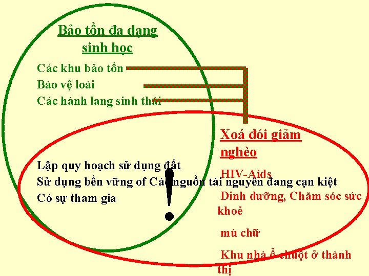 Bảo tồn đa dạng sinh học Các khu bảo tồn Bào vệ loài Các