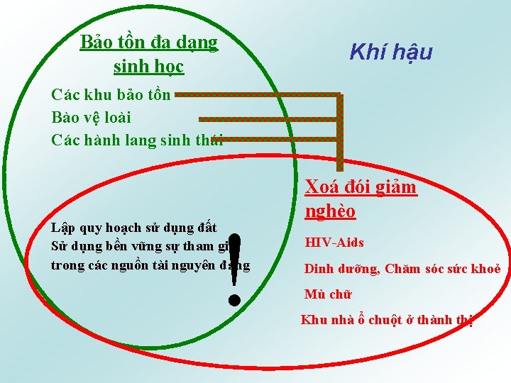 Bảo tồn đa dạng sinh học Khí hậu Các khu bảo tồn Bào vệ