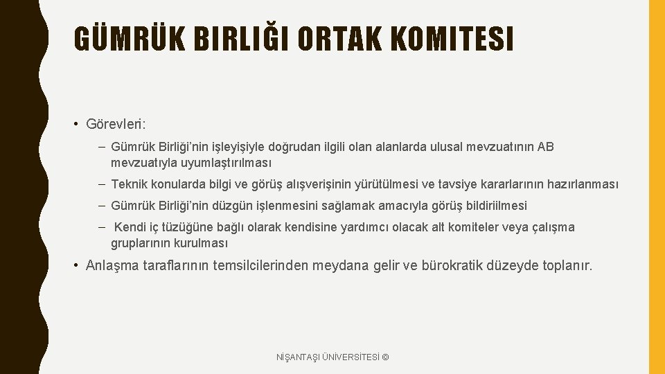 GÜMRÜK BIRLIĞI ORTAK KOMITESI • Görevleri: – Gümrük Birliği’nin işleyişiyle doğrudan ilgili olan alanlarda