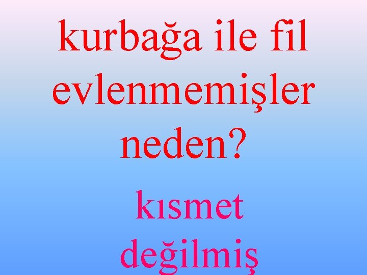 kurbağa ile fil evlenmemişler neden? kısmet değilmiş 