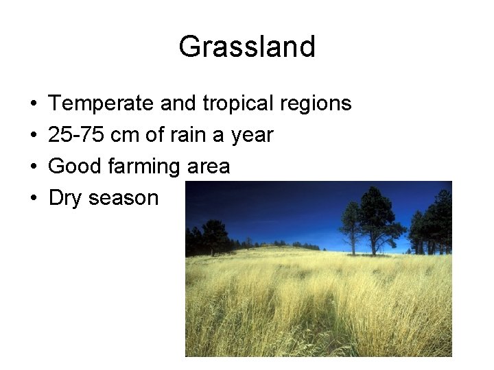 Grassland • • Temperate and tropical regions 25 -75 cm of rain a year