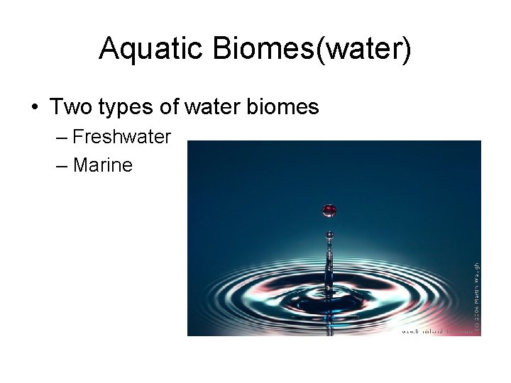 Aquatic Biomes(water) • Two types of water biomes – Freshwater – Marine 