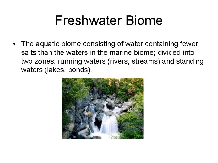 Freshwater Biome • The aquatic biome consisting of water containing fewer salts than the