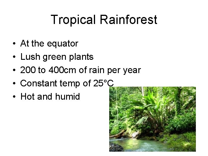 Tropical Rainforest • • • At the equator Lush green plants 200 to 400