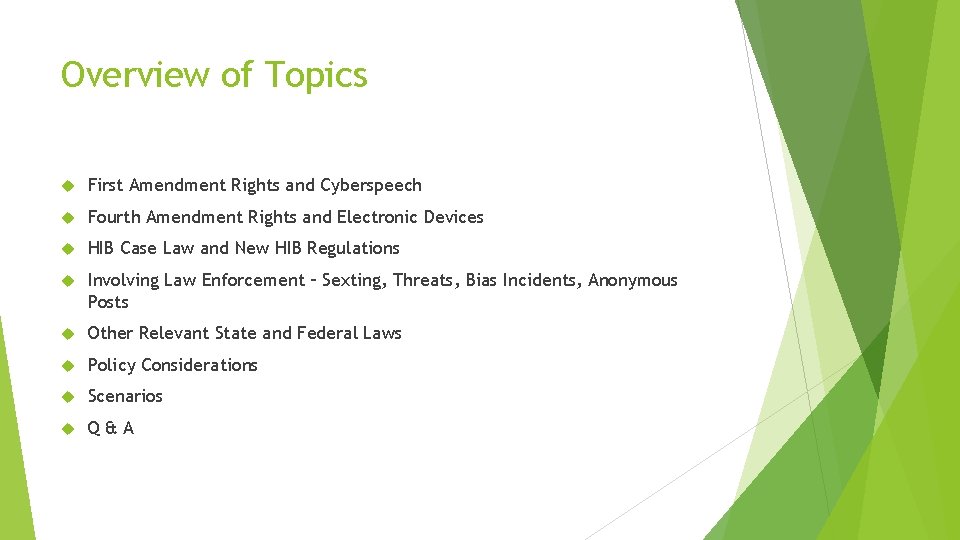 Overview of Topics First Amendment Rights and Cyberspeech Fourth Amendment Rights and Electronic Devices