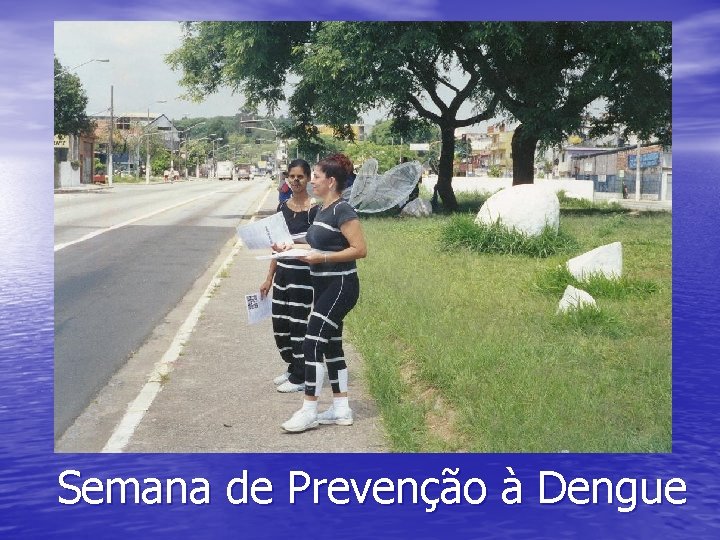 Semana de Prevenção à Dengue 