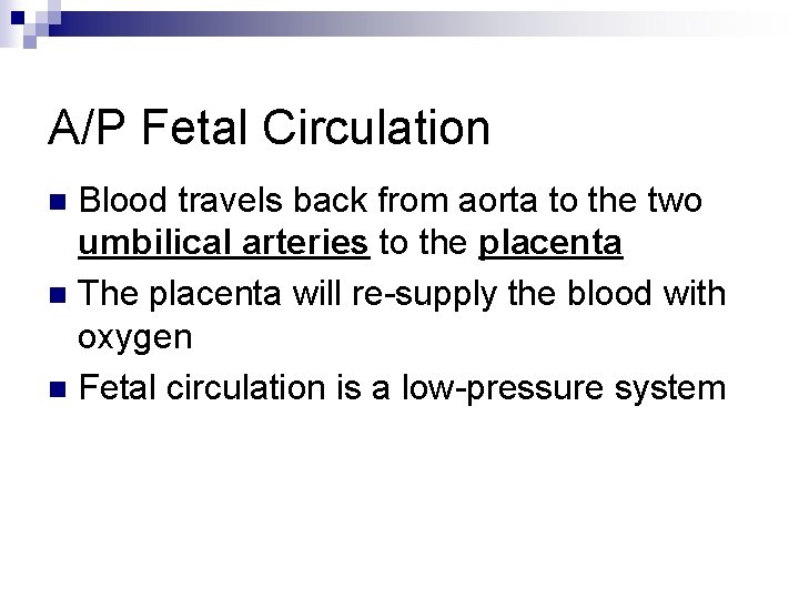 A/P Fetal Circulation Blood travels back from aorta to the two umbilical arteries to