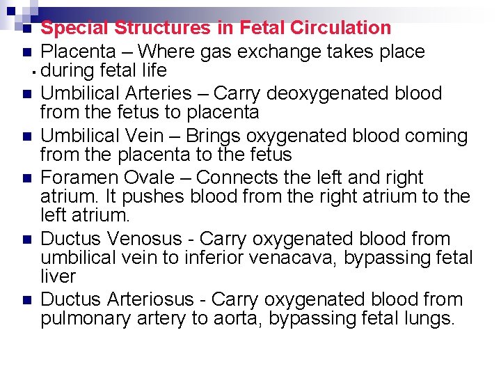 Special Structures in Fetal Circulation n Placenta – Where gas exchange takes place. during