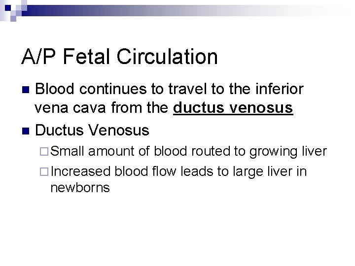 A/P Fetal Circulation Blood continues to travel to the inferior vena cava from the