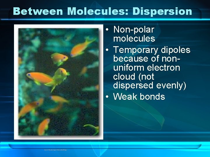 Between Molecules: Dispersion • Non-polar molecules • Temporary dipoles because of nonuniform electron cloud