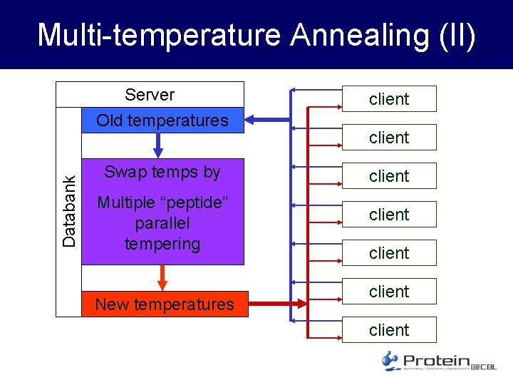 Databank Multi-temperature Annealing (II) Server Old temperatures client Swap temps by client Multiple “peptide”