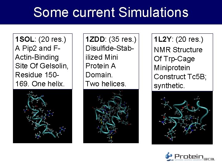 Some current Simulations 1 SOL: (20 res. ) A Pip 2 and FActin-Binding Site