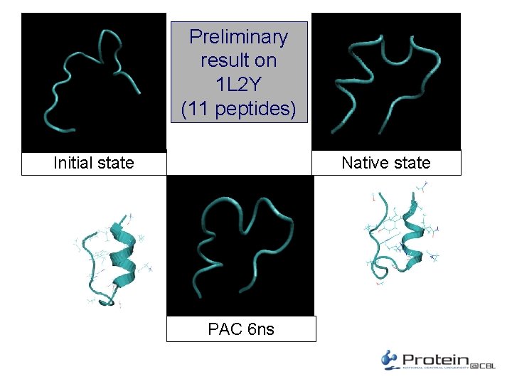 Preliminary result on 1 L 2 Y (11 peptides) Initial state Native state PAC