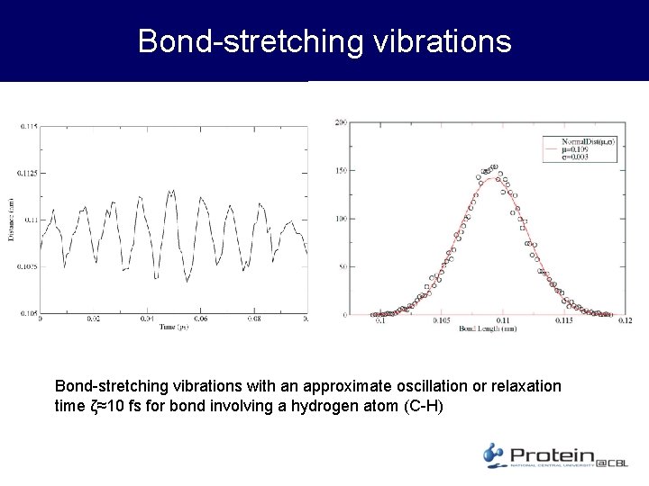 Bond-stretching vibrations with an approximate oscillation or relaxation time ζ≈10 fs for bond involving