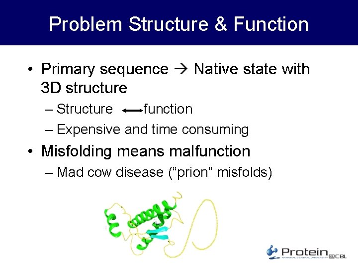 Problem Structure & Function • Primary sequence Native state with 3 D structure –