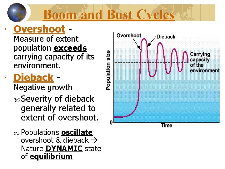 Boom and Bust Cycles Overshoot - Measure of extent population exceeds carrying capacity of