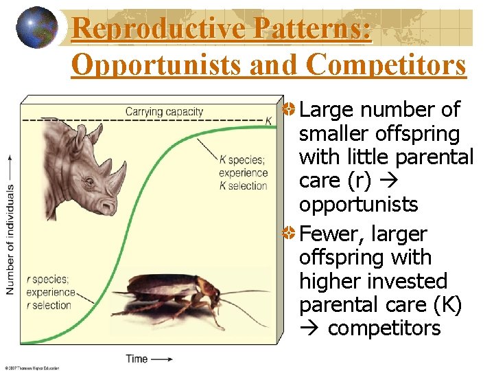 Reproductive Patterns: Opportunists and Competitors Large number of smaller offspring with little parental care