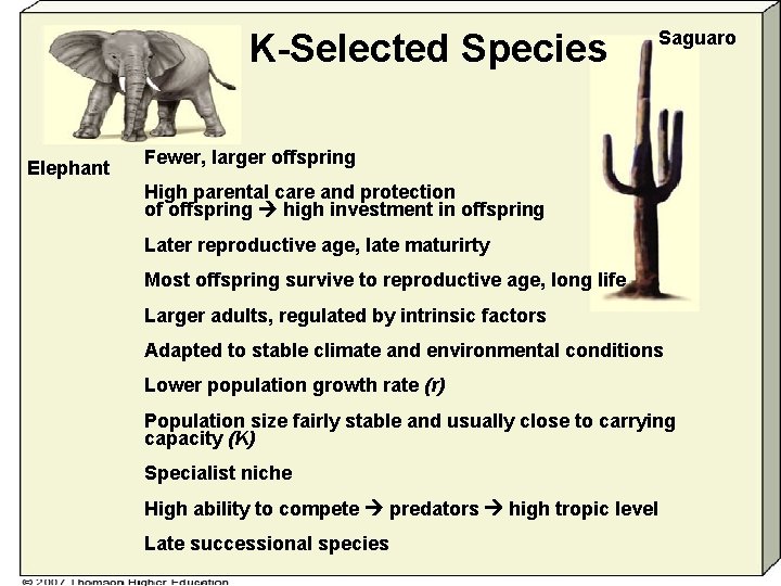 K-Selected Species Elephant Saguaro Fewer, larger offspring High parental care and protection of offspring