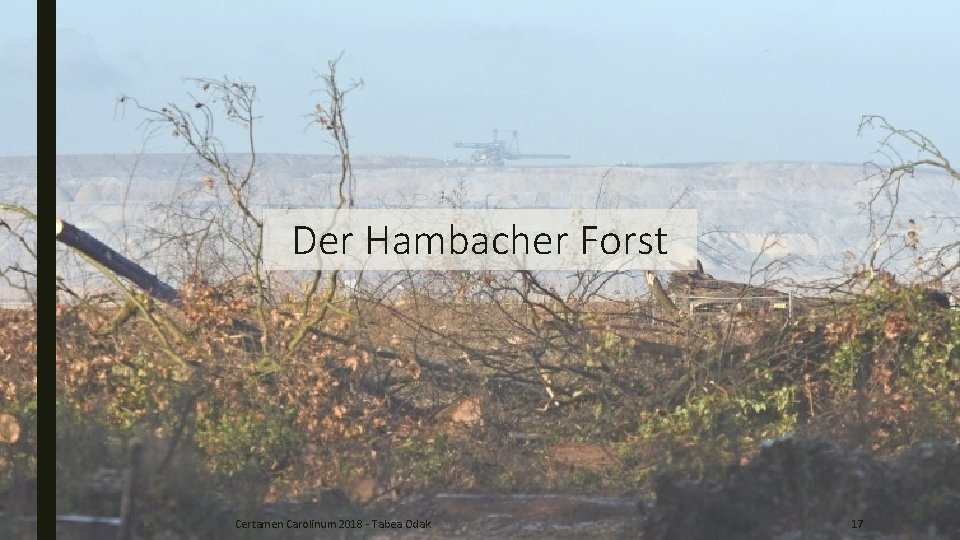 Der Hambacher Forst Certamen Carolinum 2018 - Tabea Odak 17 