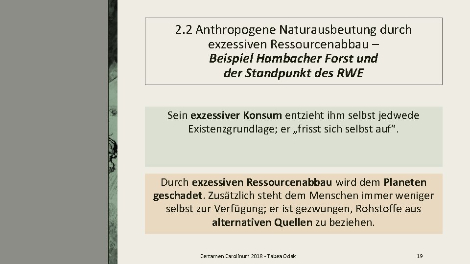 2. 2 Anthropogene Naturausbeutung durch exzessiven Ressourcenabbau – Beispiel Hambacher Forst und der Standpunkt