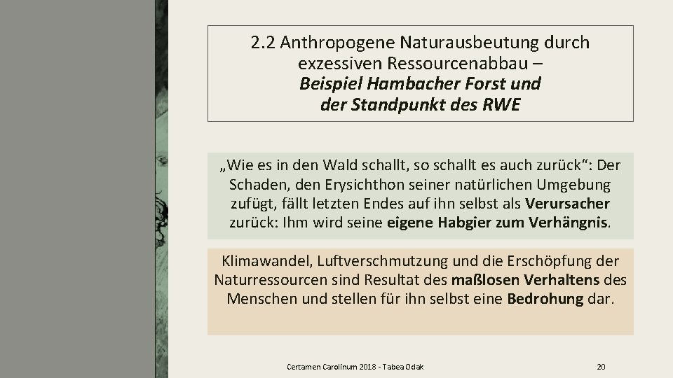 2. 2 Anthropogene Naturausbeutung durch exzessiven Ressourcenabbau – Beispiel Hambacher Forst und der Standpunkt