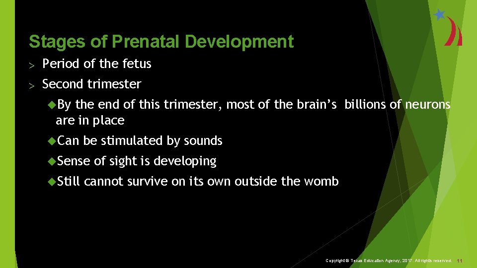 Stages of Prenatal Development > Period of the fetus > Second trimester By the