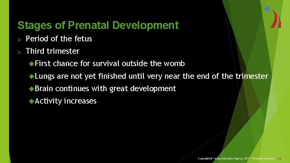 Stages of Prenatal Development > Period of the fetus > Third trimester First chance