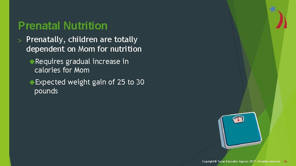 Prenatal Nutrition > Prenatally, children are totally dependent on Mom for nutrition Requires gradual