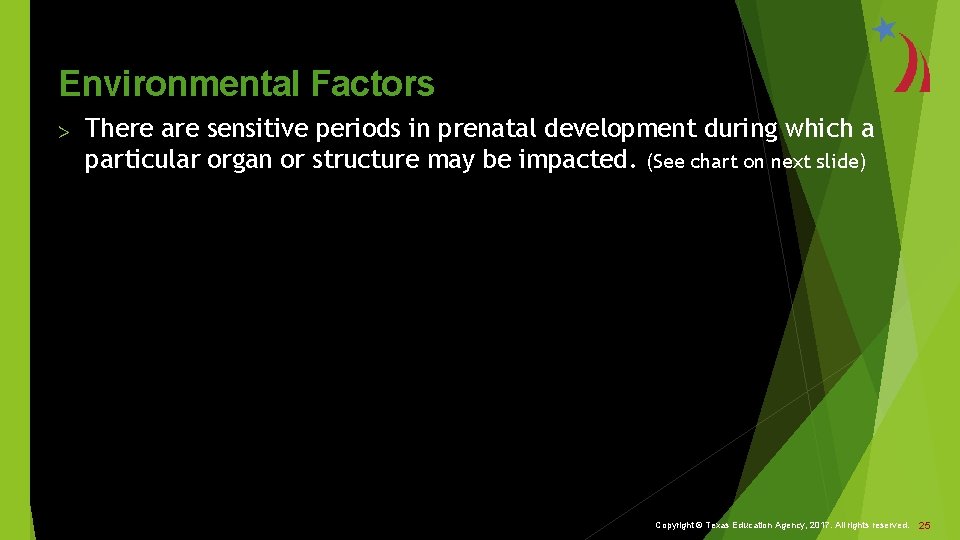 Environmental Factors > There are sensitive periods in prenatal development during which a particular