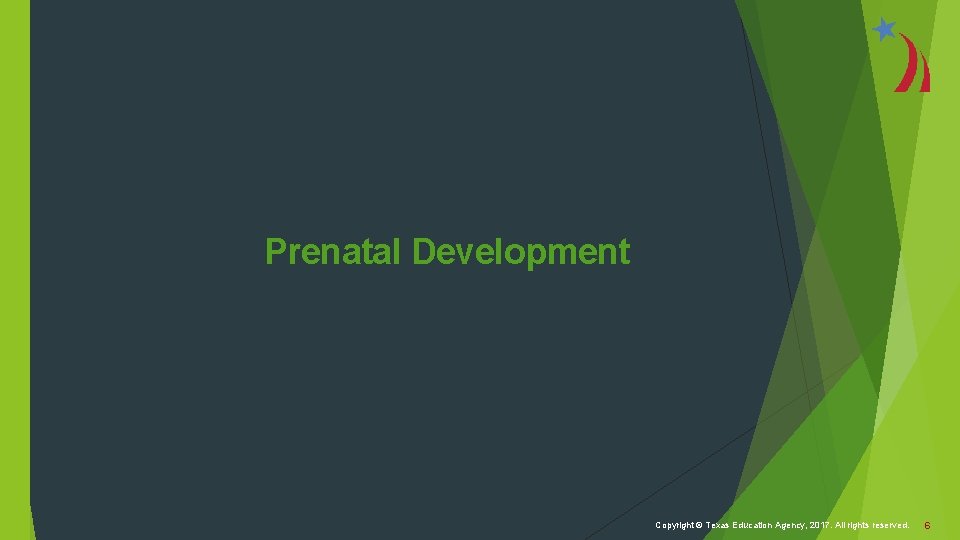 Prenatal Development Copyright © Texas Education Agency, 2017. All rights reserved. 6 