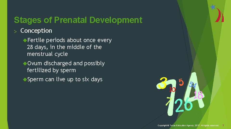 Stages of Prenatal Development > Conception Fertile periods about once every 28 days, in