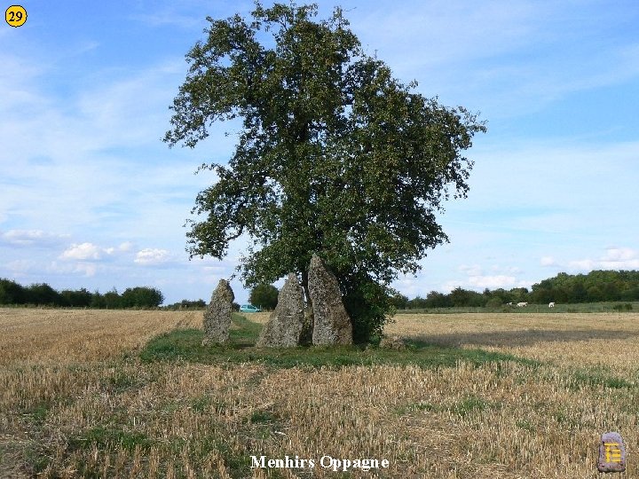 29 Menhirs Oppagne 