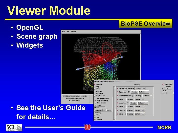 Viewer Module • Open. GL • Scene graph • Widgets Bio. PSE Overview •