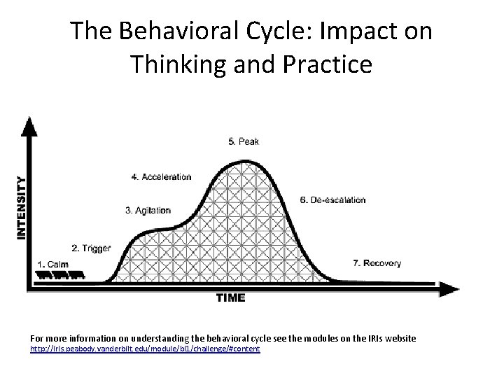 The Behavioral Cycle: Impact on Thinking and Practice For more information on understanding the