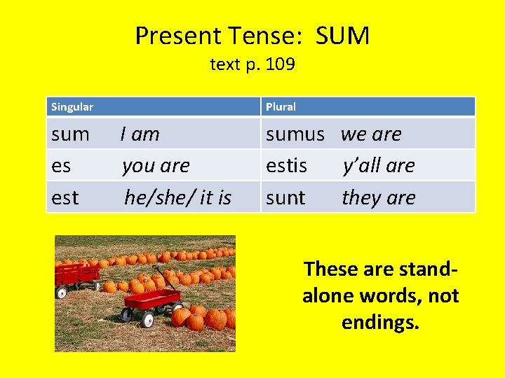 Present Tense: SUM text p. 109 Singular sum es est Plural I am you