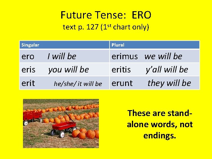 Future Tense: ERO text p. 127 (1 st chart only) Singular ero eris erit