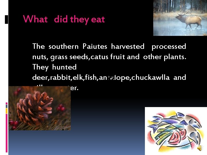 What did they eat The southern Paiutes harvested processed nuts, grass seeds, catus fruit