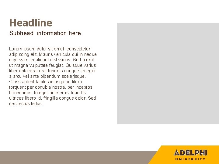 Headline Subhead information here Lorem ipsum dolor sit amet, consectetur adipiscing elit. Mauris vehicula