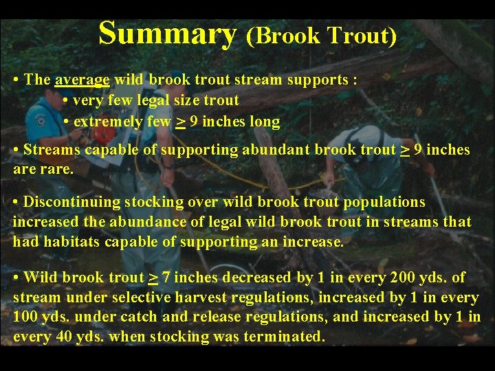 Summary (Brook Trout) • The average wild brook trout stream supports : • very